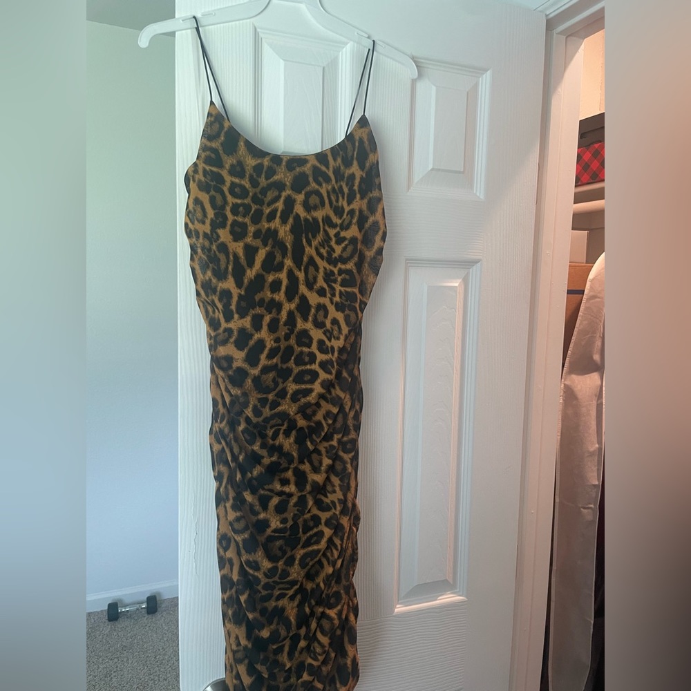 Brand new Zenobia Dress